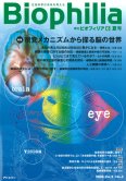 Biophilia 6 : 視覚メカニズムから探る脳の世界